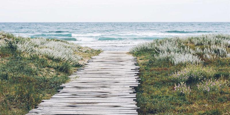 从兴趣社区到变现闭环：深度解析小组与泛友汇的创作者变现途径