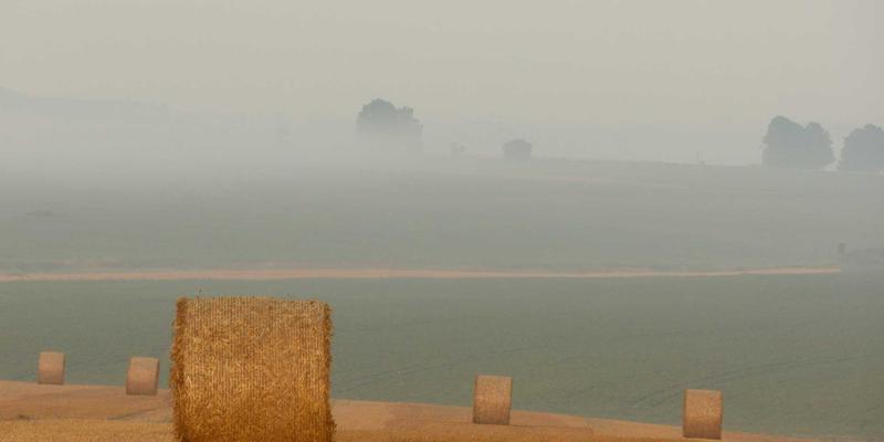 从兴趣社区到品牌阵地：如何利用论坛与分享引爆社交平台内容营销