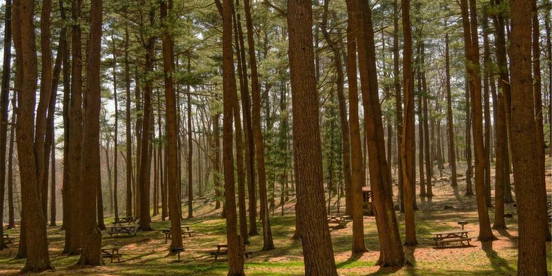 从兴趣社区到泛友汇：社交平台数字身份构建与个人品牌塑造策略