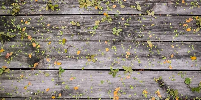 从兴趣社区到消费转化：社交平台直播电商的“小组+分享”增长路径