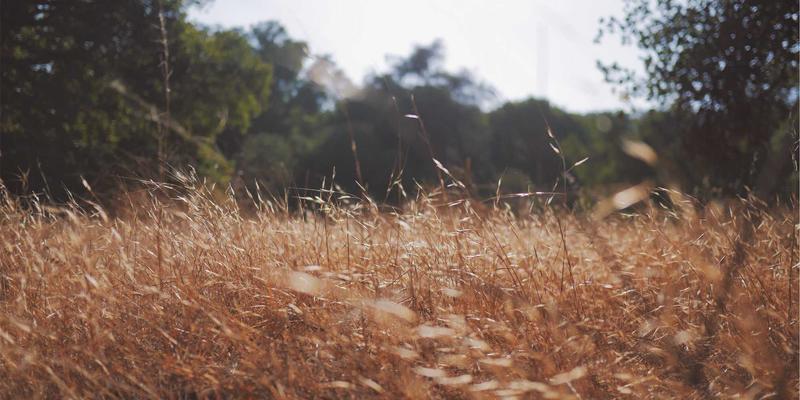 从分享到兴趣聚合：社交平台如何通过“泛友汇”模式重构数字社区生态