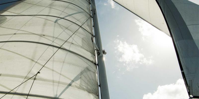 从论坛分享到兴趣社区：社交电商如何通过信任构建提升转化率