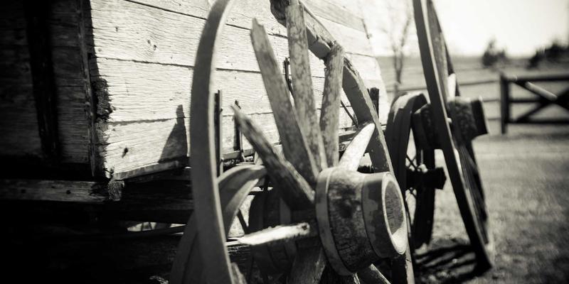 从论坛到社交网络:分享与交友如何重塑我们的数字生活