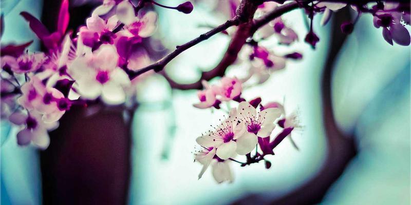 从论坛到私域：兴趣社区如何成为小微创业者的内容变现加速器