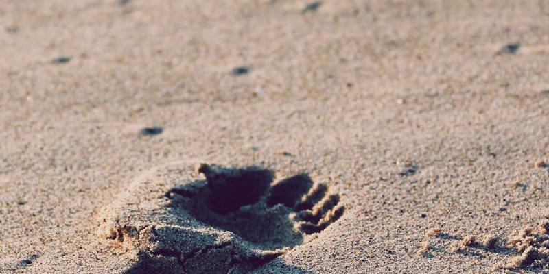 社交平台24：从分享到连接，泛友汇如何重塑数字社交新生态