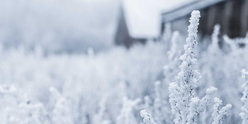 社交平台：从分享到兴趣社区，数字时代的连接革命