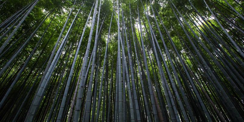 社交平台内容审核的伦理困境：当自动化技术触碰交友与兴趣社区的边界