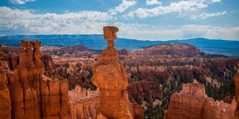 社交平台分享进阶指南:从零开始打造你的小组影响力