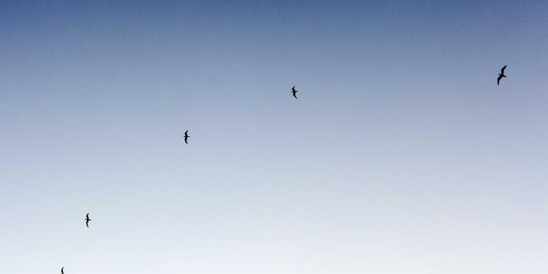 社交平台、小组与论坛：信息茧房效应的成因、测量与破壁策略