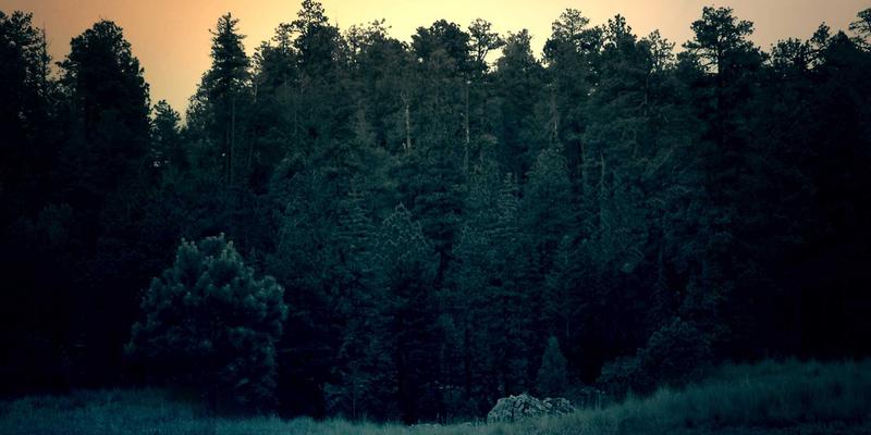 社交平台广告效果评估新思维：从论坛、泛友汇到小组的归因分析与优化策略