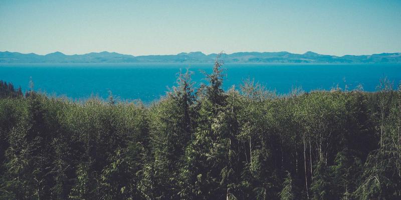 社交平台数据隐私保护指南：GDPR与CCPA合规下的交友平台（以泛友汇为例）