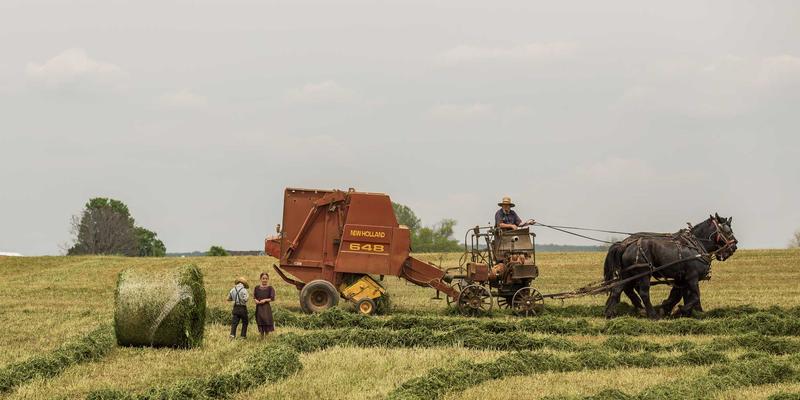 社交平台跨文化传播策略：如何在小组与论坛中平衡全球化与本土化内容